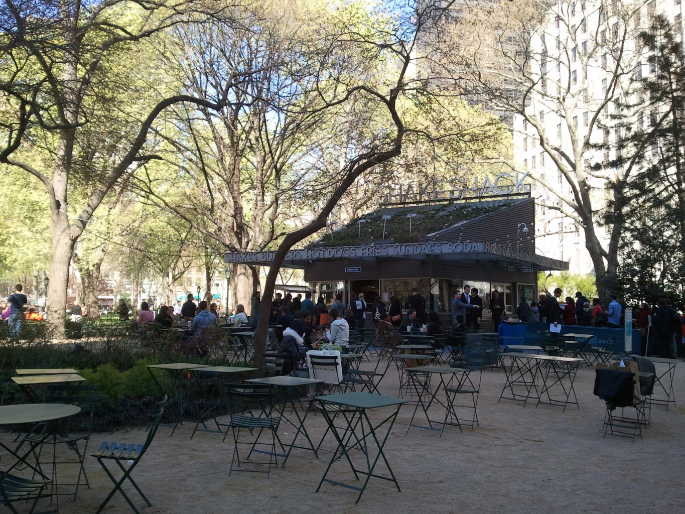 Shake Shack Madison Sq Park