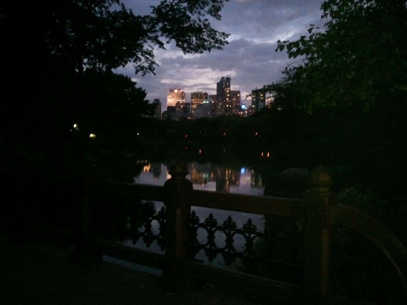 Central Park at Night