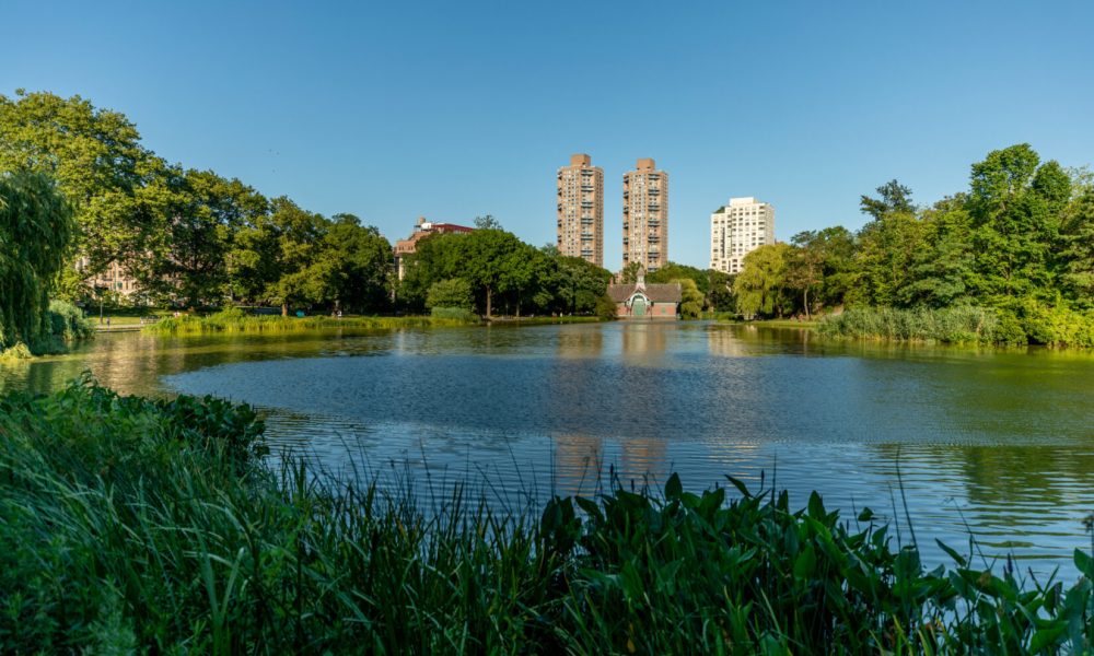 Central Park Harlem Meer Center